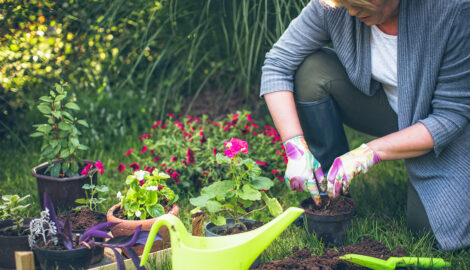 4 Reasons Gardening Is Good For The Body - My Press Plus
